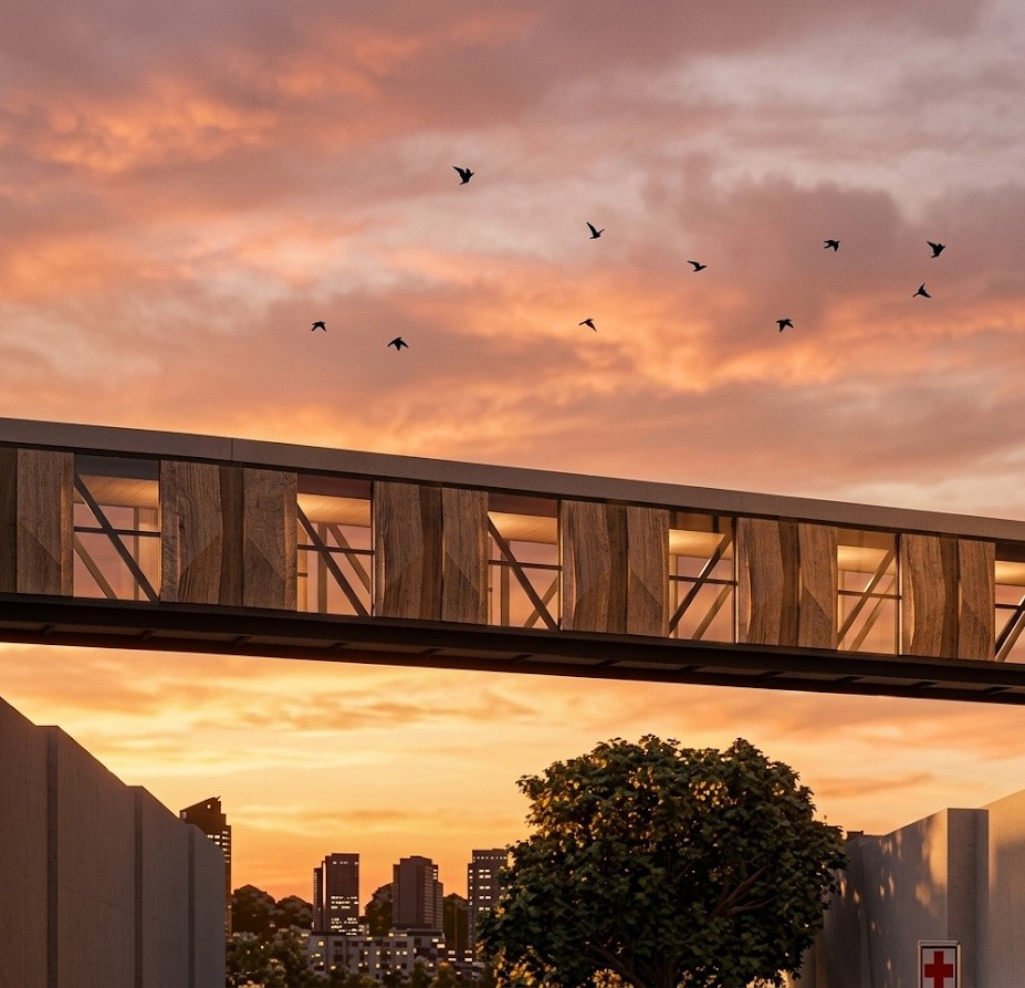 Arquitectura moderna y puentes